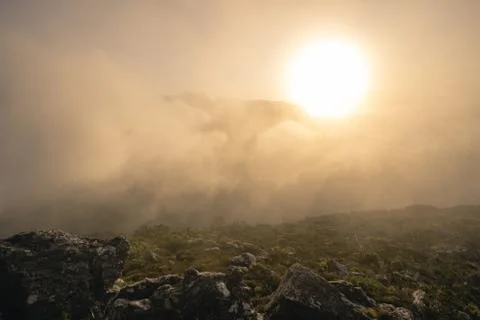 View from devil's peak at table mountain, surrounded by clouds , sun shinning Stock Photos