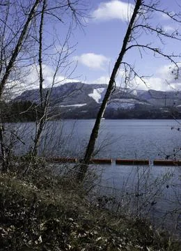 A view of Dexter through the trees Stock Photos