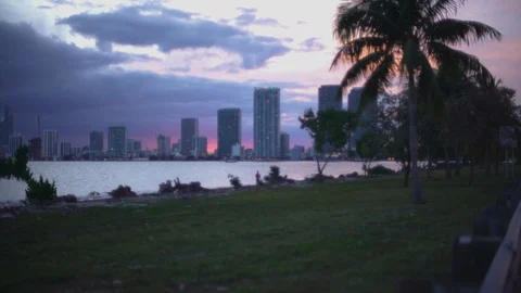 View with Diffuser of Sunny Isles Beach City skyline during purple dusk Stock Footage 100563301
