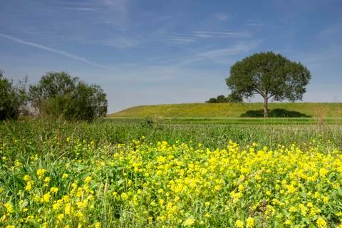 View at a dike Stock Photos
