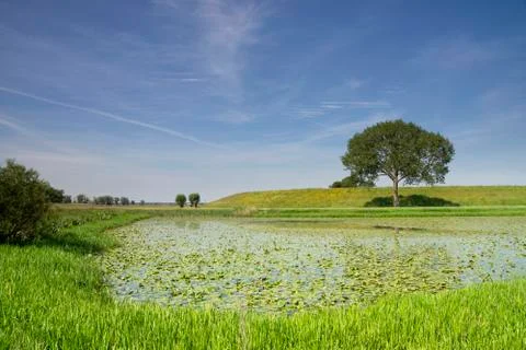 View at a dike Stock Photos