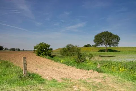 View at a dike Stock Photos