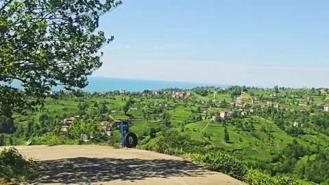 View a dirt road with a tree. Stock Footage 282989830