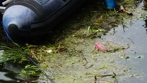 A view of the dirty, devastated, polluted, flat-covered water in the marina. Stock Footage 201312536