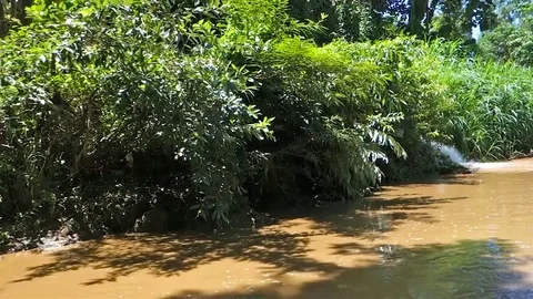 A View of Dirty River From the Boat  Stock Footage 77002619