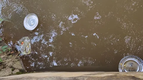 View of disposable paper plates floating in water highlighting pollution an.. Vídeos de archivo 336043275