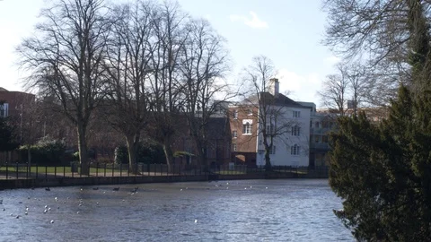 View of a Distant Building Overlooking a Lake Stock Footage 85910496