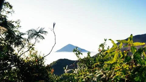 View of a distant mountain peak framed by lush foliage, creating a serene a.. Stock Photos