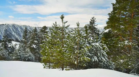 View of distant mountains with forest clearing Stock Footage 50767002