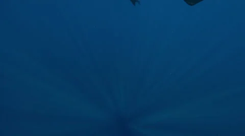 View of diver and sunrays in ocean Video stock 46661635