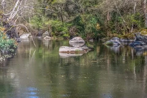 View of Do river, with trees, rocks and vegetation on the banks Stock Photos