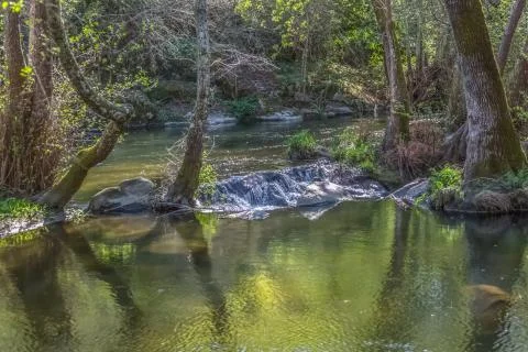 View of Do river, with trees, rocks and vegetation on the banks Stock Photos