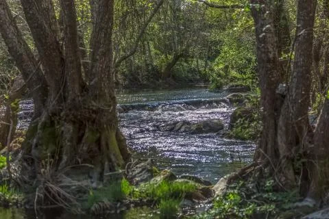 View of Do river, with trees, rocks and vegetation on the banks Stock Photos