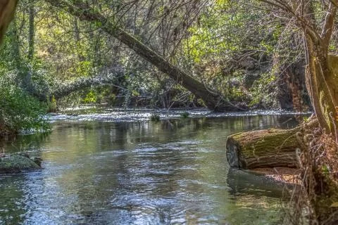 View of Do river, with trees, rocks and vegetation on the banks Stock Photos