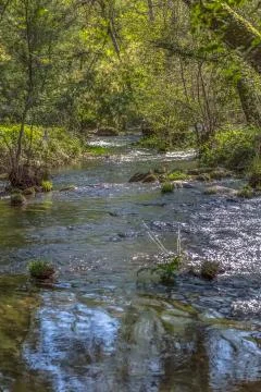 View of Do river, with trees, rocks and vegetation on the banks Stock Photos