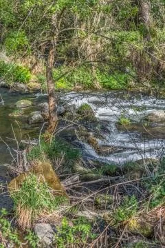 View of Do river, with trees, rocks and vegetation on the banks Stock Photos