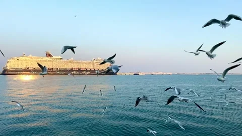 View at Doha Old Port, Doha, Qatar  - January 03, 2026 Stock Footage 325902373