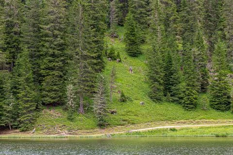 View of the Dolomites Stock-Fotos