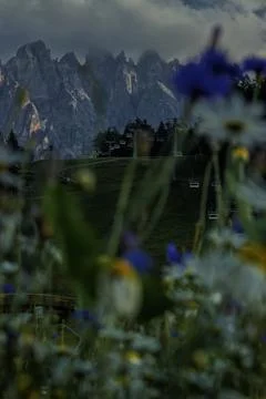 View of the Dolomites. Stock Photos