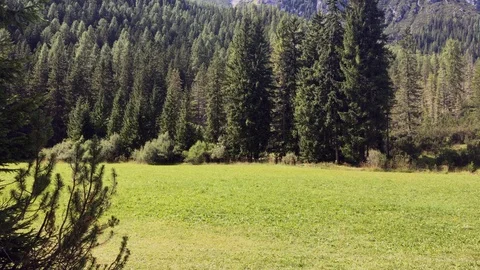 View of dolomites in summer Stock Footage 110689728