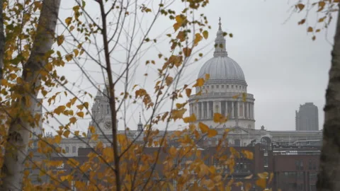 A view of the dome of the St.Pauls Cathedral through tree branches in autumn. Stock Footage 120488731