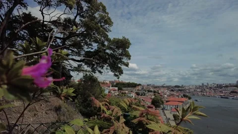 View to Douro River from a Beautiful Garden in the Park - "Palcio de Cristal" Stock Footage 154579474
