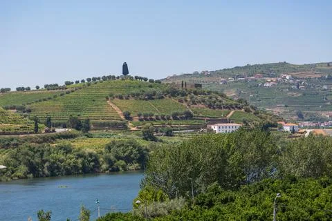 View at the Douro river on Regua, typical landscape of the highlands Stock Photos