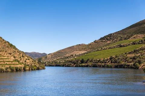 View of the Douro vineyards from below Stock Photos