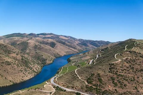 View of the Douro vineyards Stock Photos