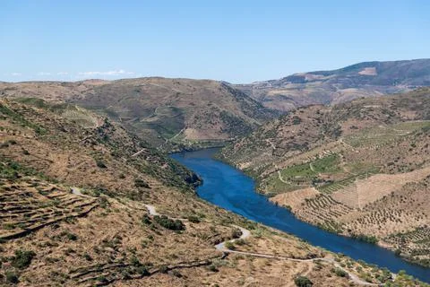View of the Douro vineyards Stock Photos