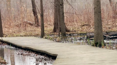 View down boardwalk in marsh camera zooming out Video stock 49724092