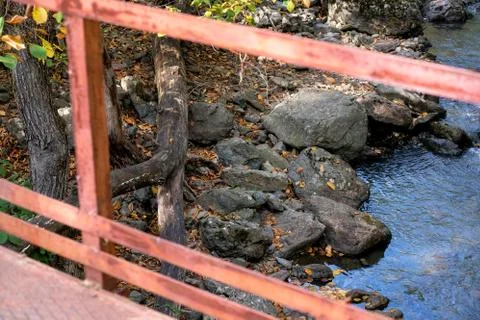 View down from the bridge. Stream and stones. Autumn forest Stock Photos