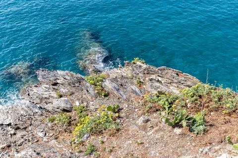 View down a cliff to the ocean below Fotos Stock