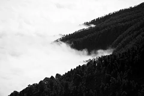 View down to the clouds colliding with the forest covered mountains in La Pal Stock Photos