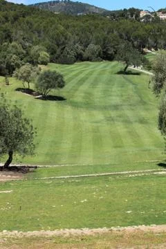 View down a fairway on a golf course Foto stock