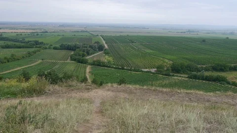 View down the idyllic vineyards and fruit orchards of Velk Bilovice Stock-Footage 113222894