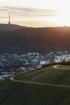 View down the idyllic vineyards and fruit orchards of Stuttgart-Rotenberg Stock Photos