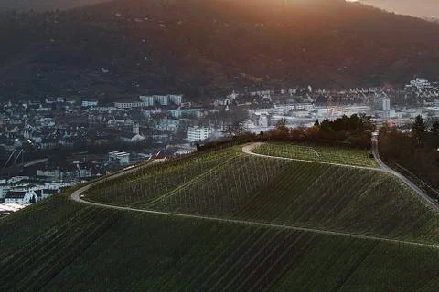 View down the idyllic vineyards and fruit orchards of Stuttgart-Rotenberg Stock Photos