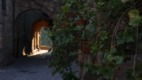 View Down Old European Cobblestone Road Tunnel Vídeo Stock 232180038