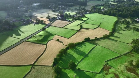 View down to patchwork farmland fields in summer just after daybreak. Video stock 282439491