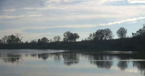 View down river in the evening with a bird taking off Stock Footage 260220577
