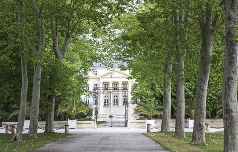 View down a road lined with trees at a French winery Stock Photos