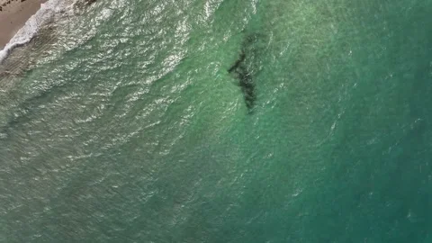 View down of water and beach Stock Footage 276870129