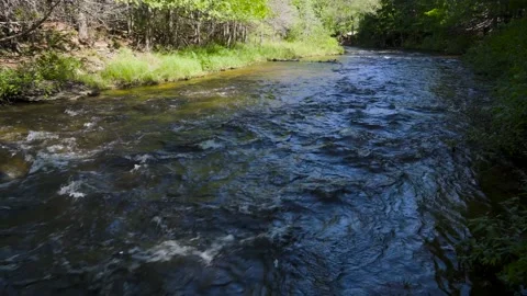 View downriver with green trees on both banks Stock Footage 166603241