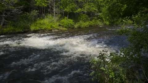 View downriver with green trees on both banks Stockbeeldmateriaal 166625224