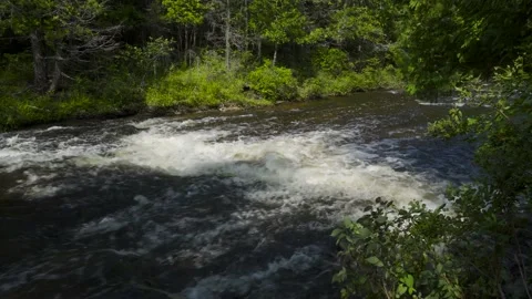 View downriver with green trees on both banks Stock Footage 166625619