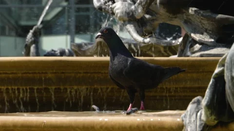 View of downtown Mannheim Vídeo Stock 137536046