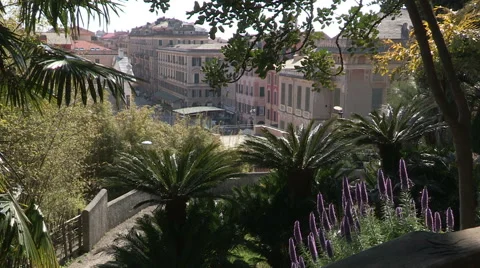 A view of downtown from the park Stock Footage 56804871