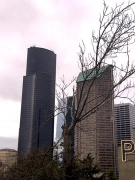 A view of downtown Seattle. Foto stock