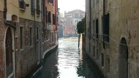 View of downtown Venice. Video stock 72702937